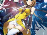 超昂閃忍ハルカ 廉価版