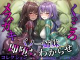 【単体30%オフ/同時購入50%オフ】メ○ガキ&くっころ くノ一姉妹 即堕ちわからせコレクション