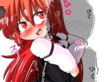 こあちゃん密着24時