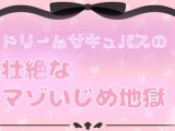 ドリームサキュバスの壮絶なマゾいじめ地獄